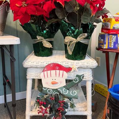 Poinsettias Lot