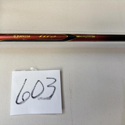 Quantum Fishing Pole