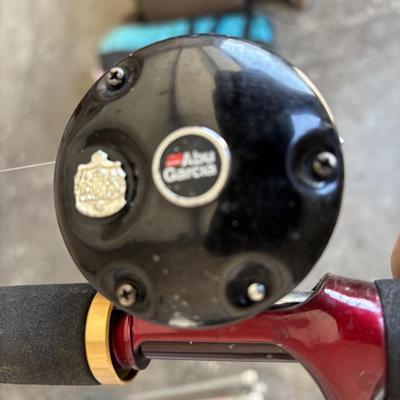 Quantum Fishing Pole