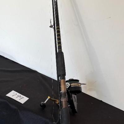 Abu Garcia Fishing Pole