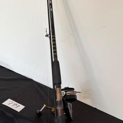 Abu Garcia Fishing Pole
