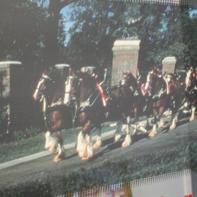 Vintage Budweiser Clydesdal's Framed Mirror