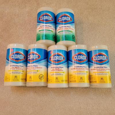 Cleaning Supplies and Light Bulbs (LR-EL)