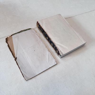 Five New Century Library Leather Books by Dumas (L-DZ)
