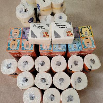 Large Disposable Paper Lot (DR-EL)