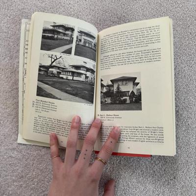 Frank Lloyd Wright, Taschen, and More Art and Architecture Books (LR-DZ)