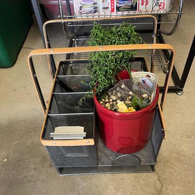 Organize the study