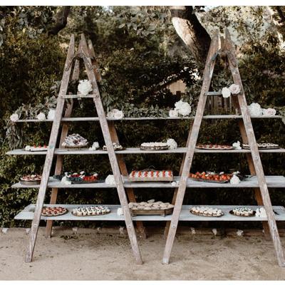 Double Ladder Bar Back
