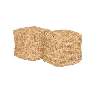 Ynes Poufs Set of 2