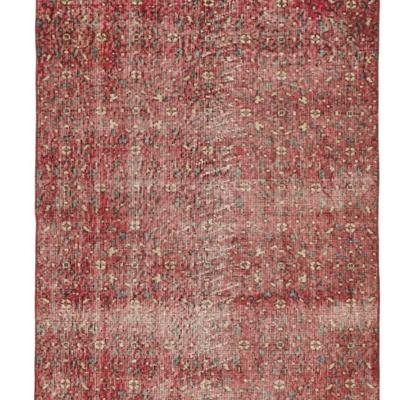 Argelia Rug