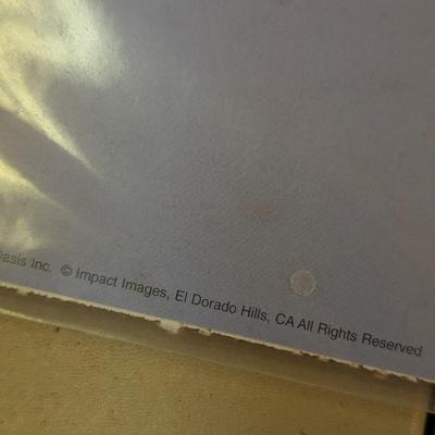 US Navy Blue Angels Posters