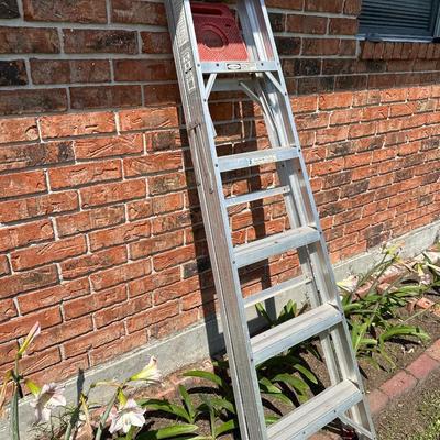 Werner Six Foot Metal Ladder