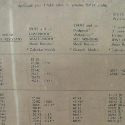 Vintage Timex Watch Display