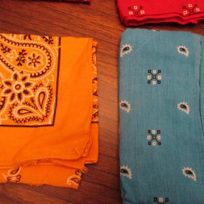 Assortment Of Bandannas & Gloves Lot G