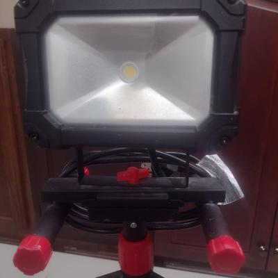Pair of Shop Lights