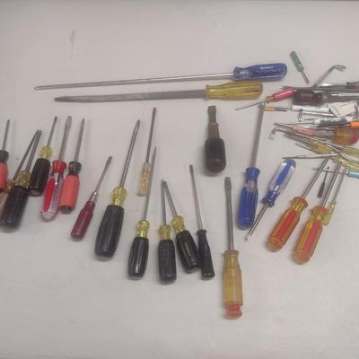 Collection of Screwdrivers Various Head Shapes and Sizes