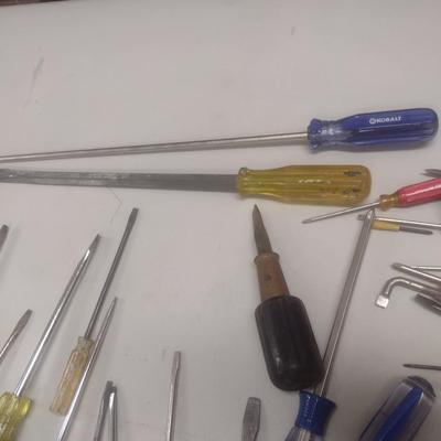Collection of Screwdrivers Various Head Shapes and Sizes