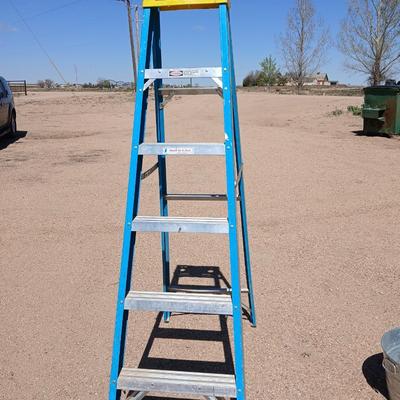 Nice! Werner 6-Foot Fiberglass Step Ladder – Type II 225 lb Rated