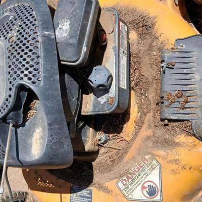 Poulan Pro Push Mower – Briggs & Stratton Engine for parts or repair