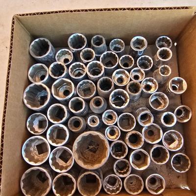 Box Lot: Large Assortment of 12-Point & 6-Point Sockets