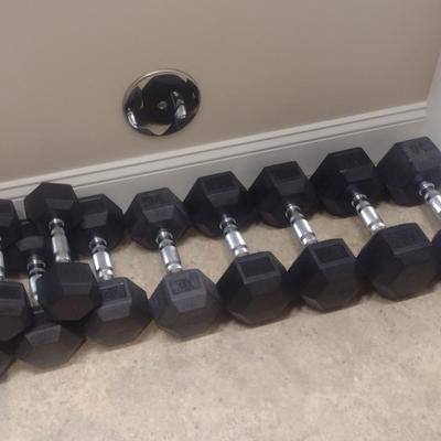 Set of Hex Sol.id Body Free Weight Barbells