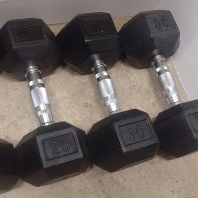 Set of Hex Sol.id Body Free Weight Barbells