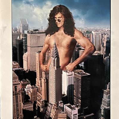 Private Parts original movie poster artwork