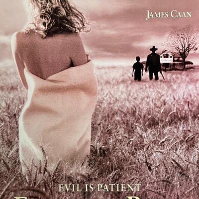 Flesh and Bone 1993 original movie poster