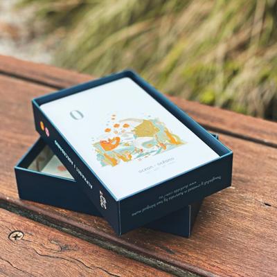 Duo Kiddo Alphabet Abecedario Bilingual Educational Flashcards Language Art Homeschool