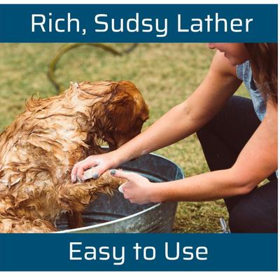 Wondercide - Pet Shampoo Bar for Dogs and Cats - Gentle, Easy-to-Use with Natural Essential Oils, Shea Butter, and Coconut Oil - Neem...