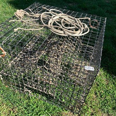 Crab Pot