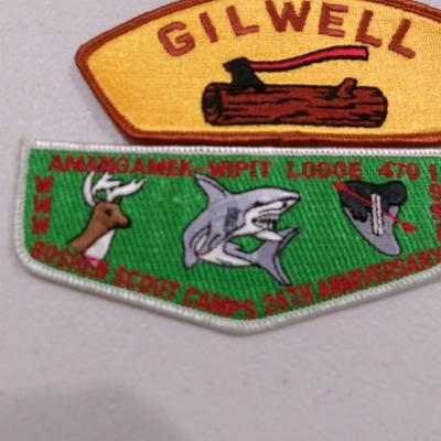 Boy Scouts Embroidered Patches Tidewater Council Gilwell Amangamek Wipit Lodge 470 - F (SR)