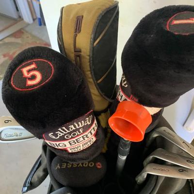 Golf Bag & Clubs Callaway King Cobra