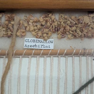 Native American Framed Seeds (SR)
