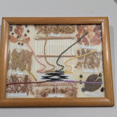 Native American Framed Seeds (SR)