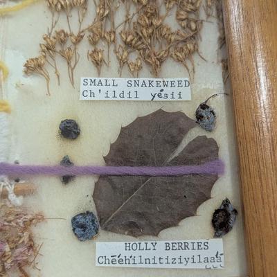 Native American Framed Seeds (SR)