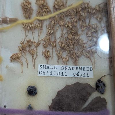 Native American Framed Seeds (SR)