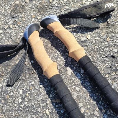 Blackburn Trakstand Defender with Foxelli & More Trekking Poles (G-EL)