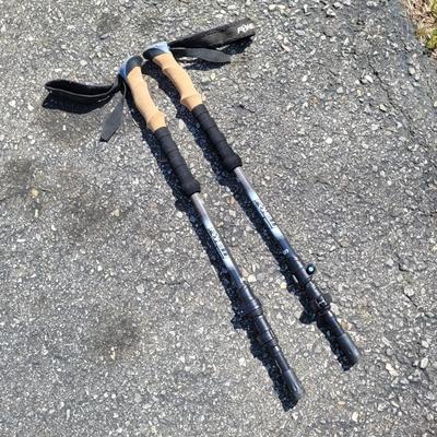 Blackburn Trakstand Defender with Foxelli & More Trekking Poles (G-EL)