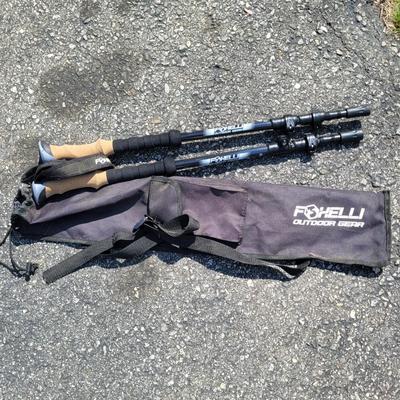 Blackburn Trakstand Defender with Foxelli & More Trekking Poles (G-EL)