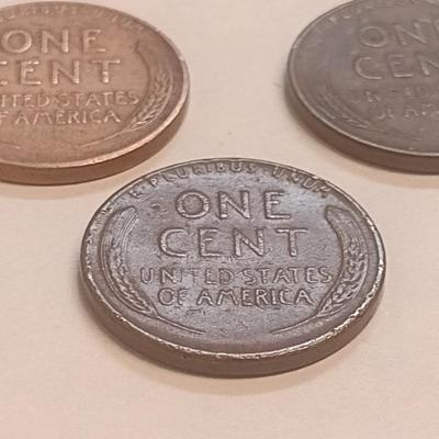 Set of Three U. S. Wheat Pennies 1956-D, 1945, and 1949-D Error (#109)