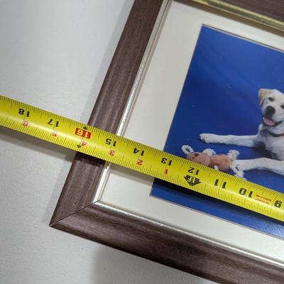 Array Of Home Wall Decor (SR)