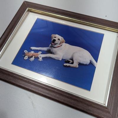 Array Of Home Wall Decor (SR)