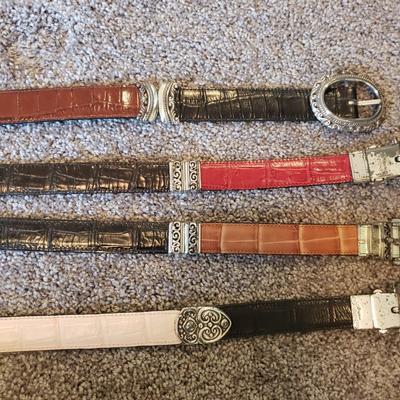 Brighton Bags and Belts (GB1-KD)