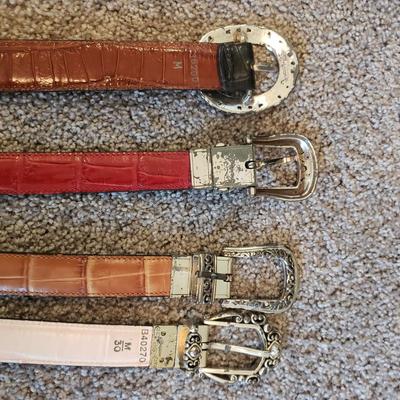 Brighton Bags and Belts (GB1-KD)