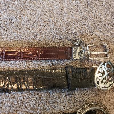 Brighton Bags and Belts (GB1-KD)