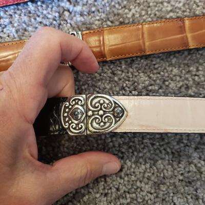 Brighton Bags and Belts (GB1-KD)