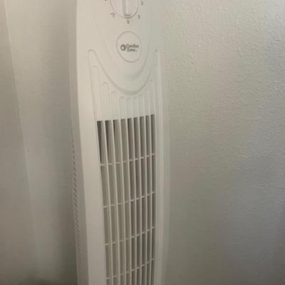 Fan White