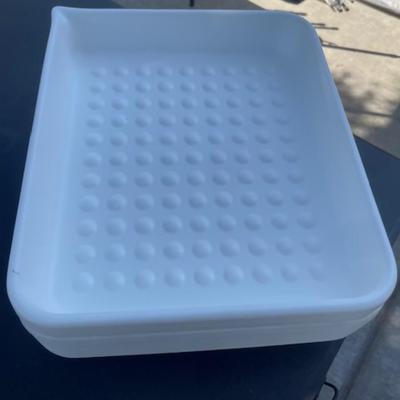 Photo Developing Trays