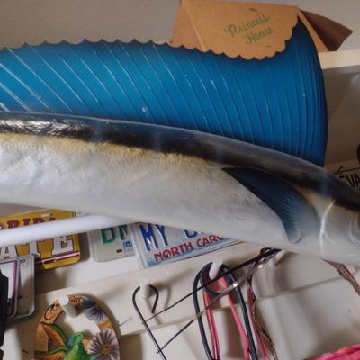Mounted Sail Fish
